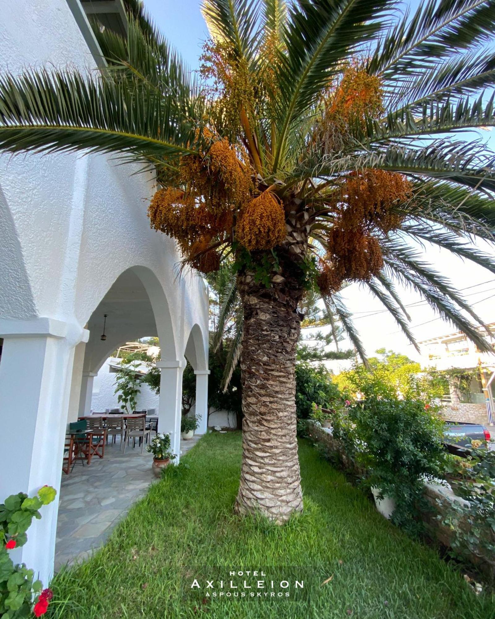 Achilleion Hotel Skyros Ngoại thất bức ảnh